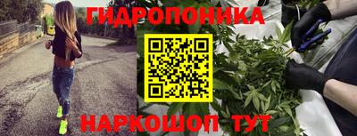 стаф Малоярославец