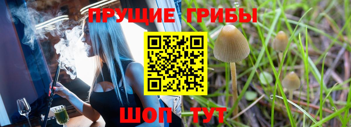 Псилоцибиновые грибы мицелий  Псилоцибиновые грибы мицелий  Вход с VPN  закладки  Ипатово 