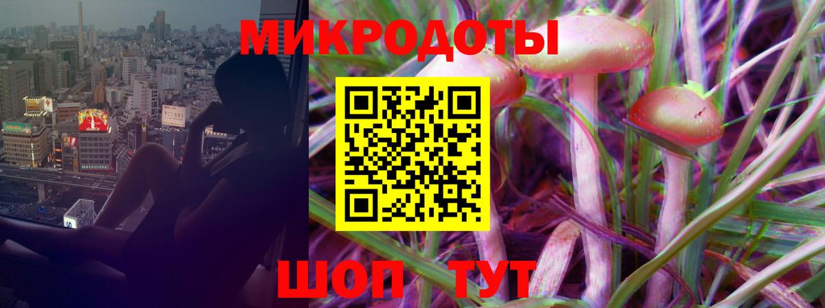 Галлюциногенные грибы Psilocybine cubensis Ипатово
